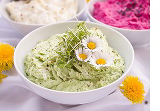 Kresserezept: frischer Aufstrich