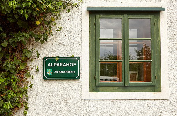 Alpakahof in Oberösterreich