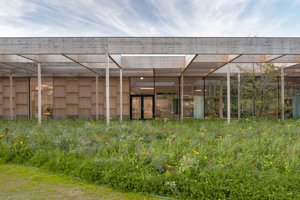 Flaches Gebäude mit Holz und Glas in blühender Wiesenlandschaft