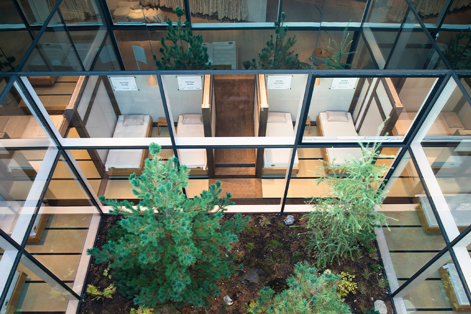 Innenhof aus Glas mit Pflanzen und Bäumen