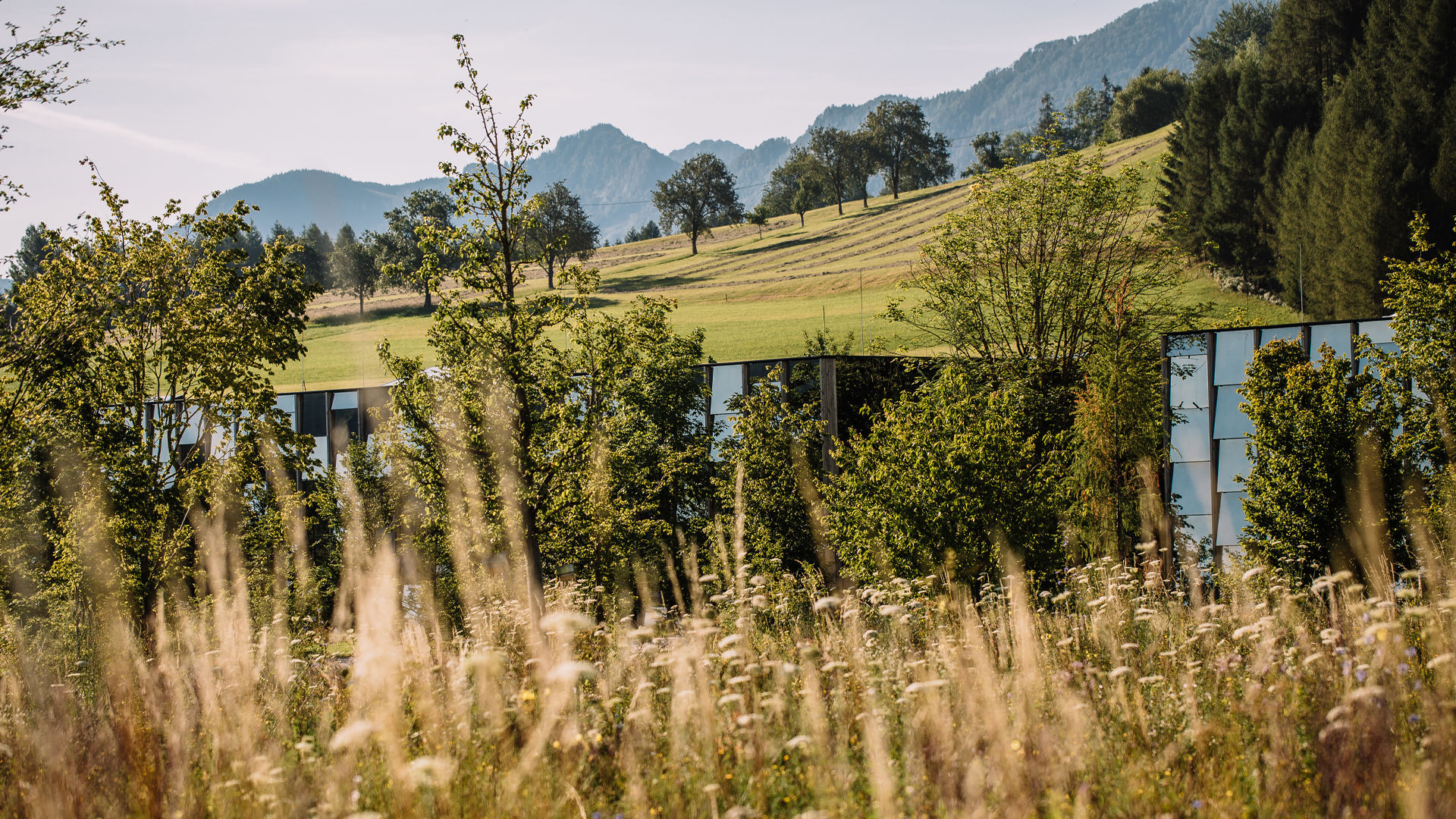 Landschaft mit sanften Hügeln in ruhiger Natur