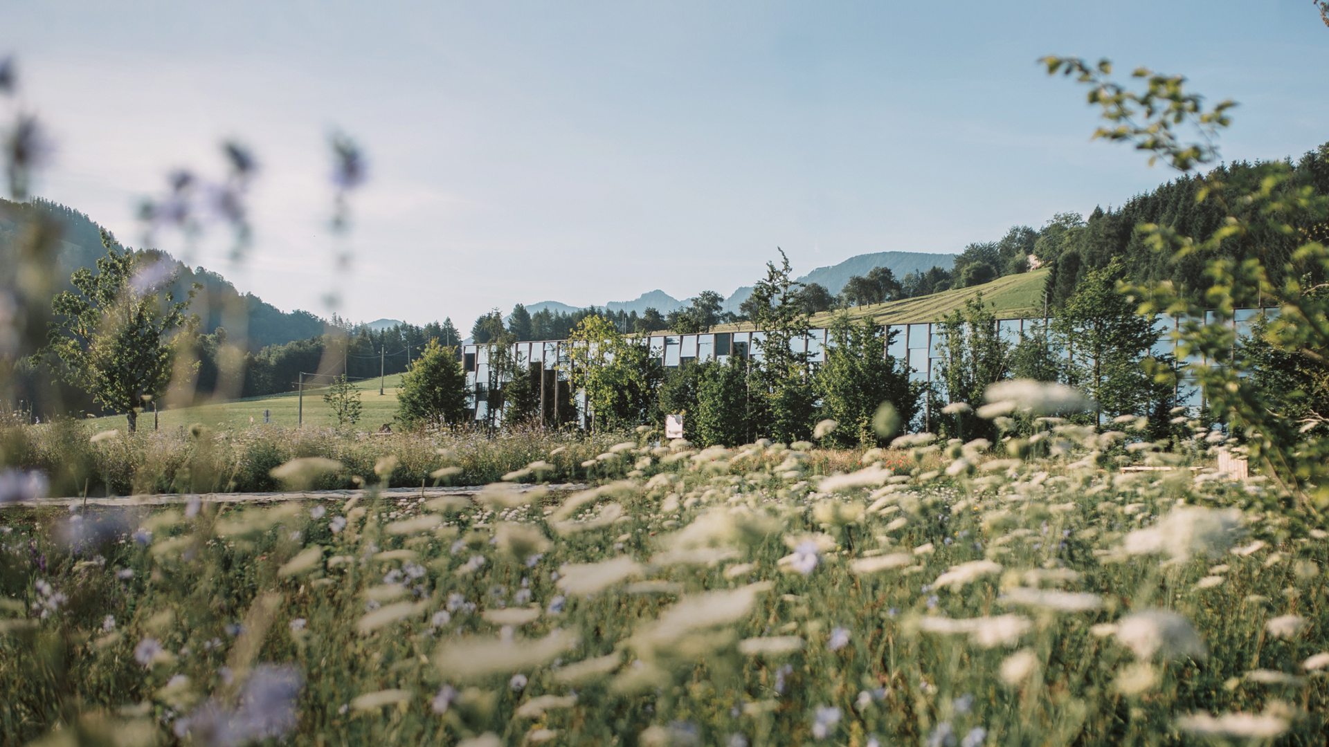 Grüne Erde Holzlogo vor einer Wiese und Bergen