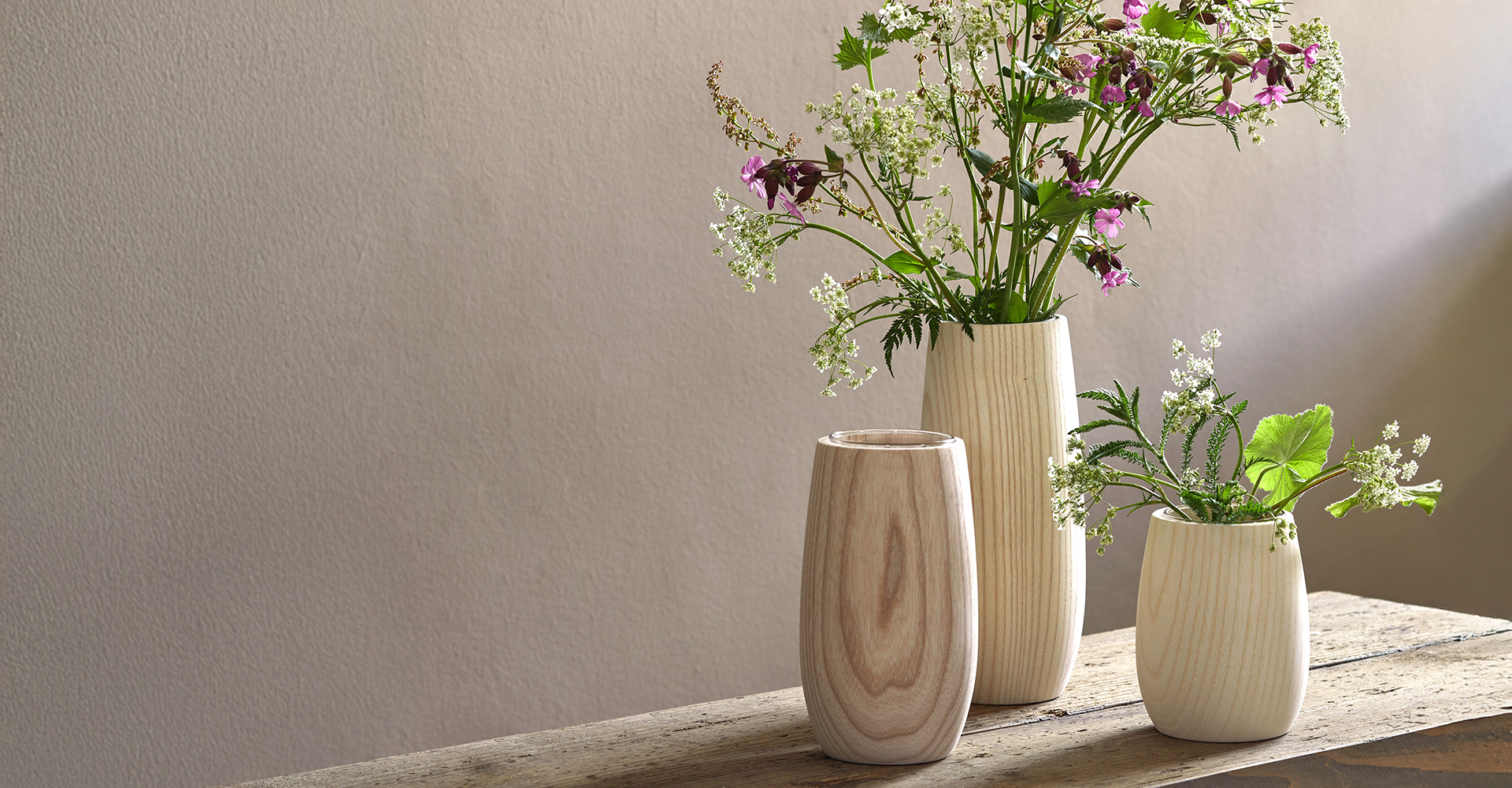 Drei Blumentöpfe stehen nebeneinander. Darin befinden sich jeweils unterschiedliche Pflanzen.