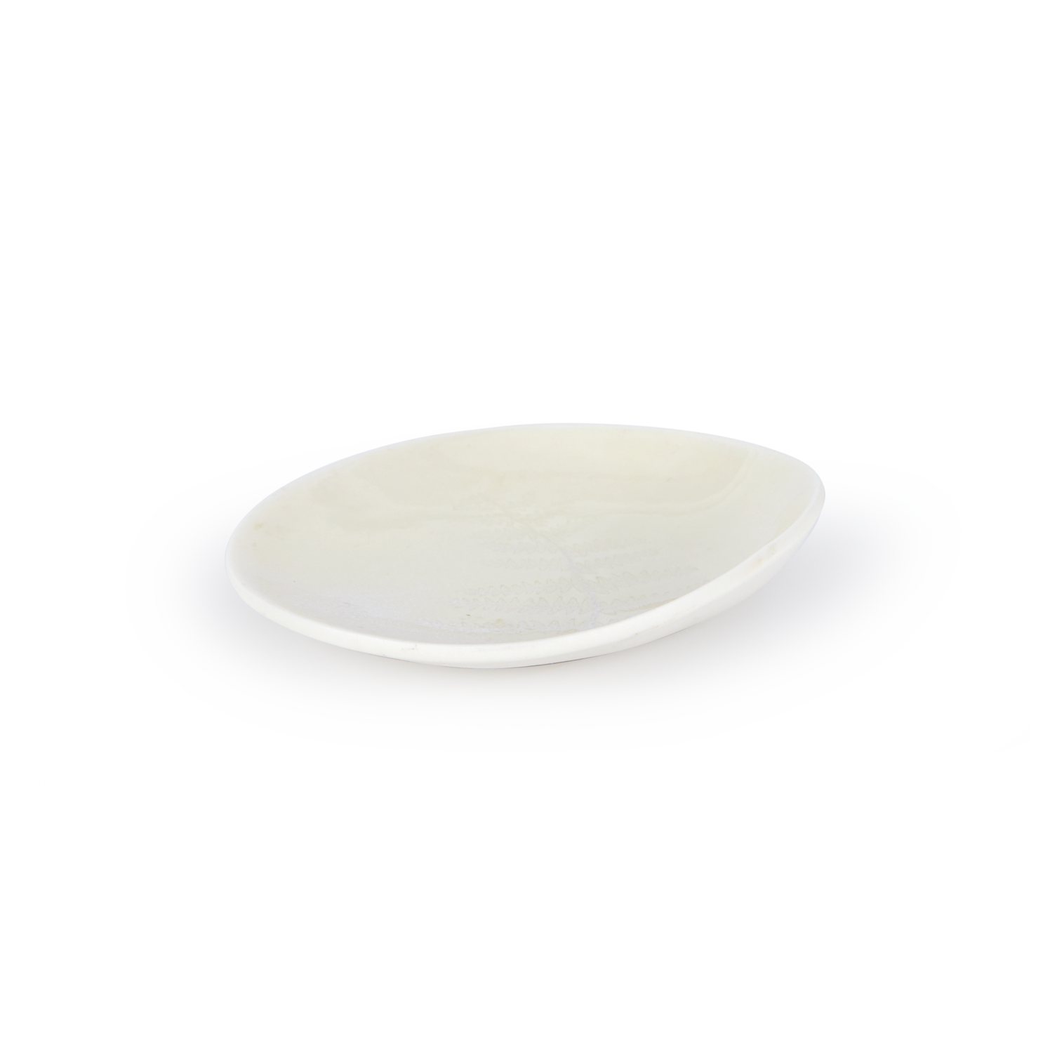 Teller aus Porzellan mit Farn