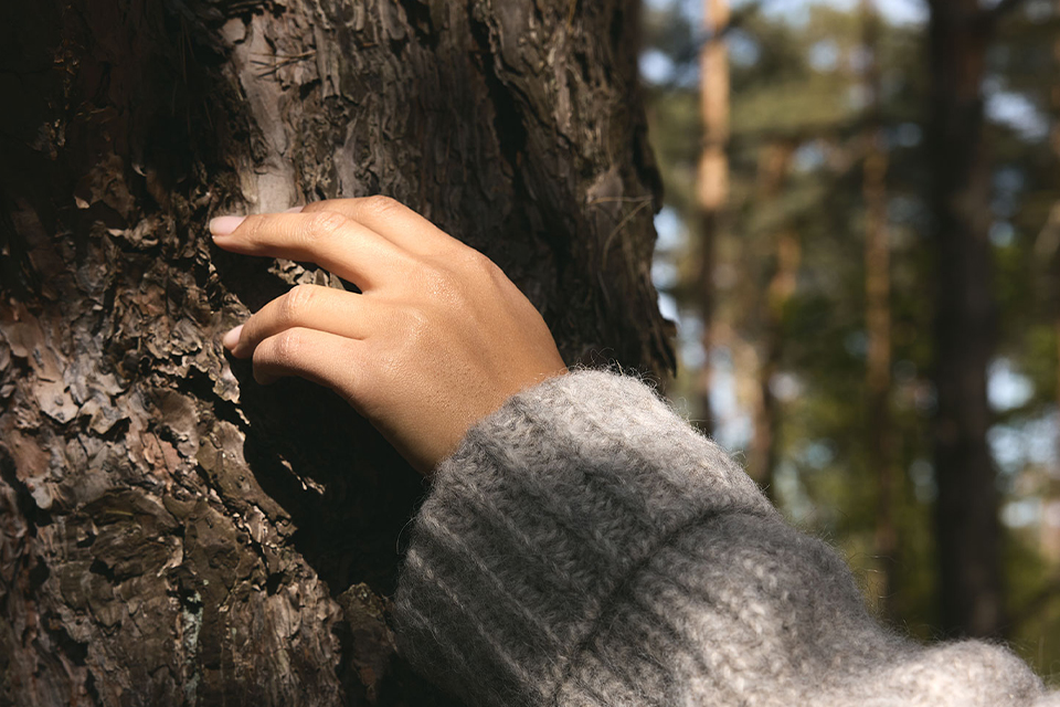 Hand berührt Baumrinde und zeigt Verbindung zur Natur