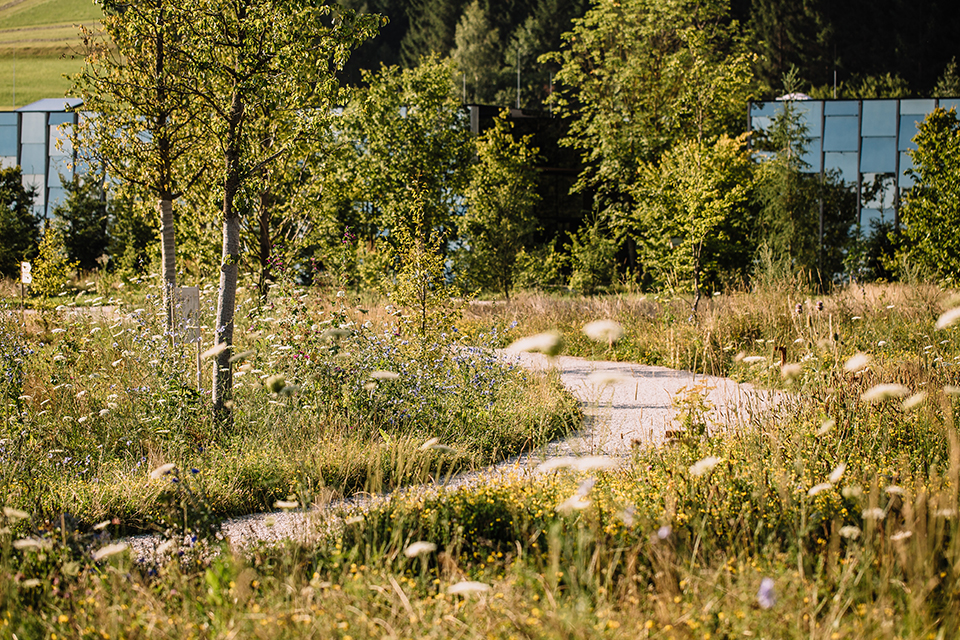 Weg zu der Grünen Erde Welt mit Natürlicher Bepflanzung