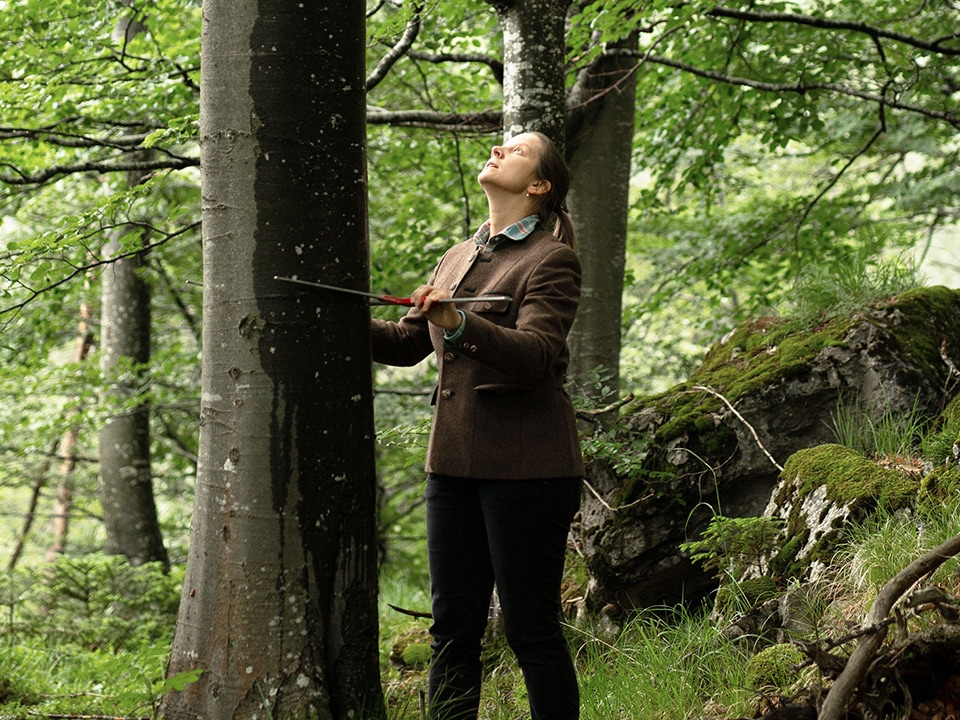 Försterin begutachtet Baum