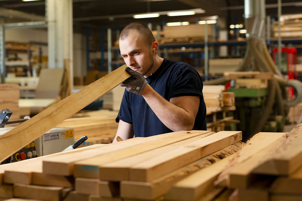Mitarbeiter begutachtet Holzbretter