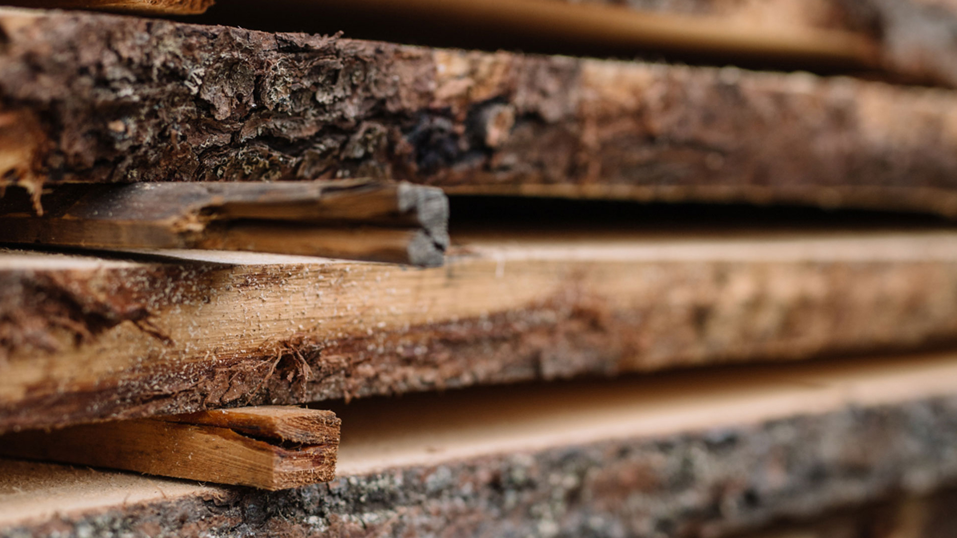 Gestapelte Holzstämme in warmem Licht mit natürlichen Texturen