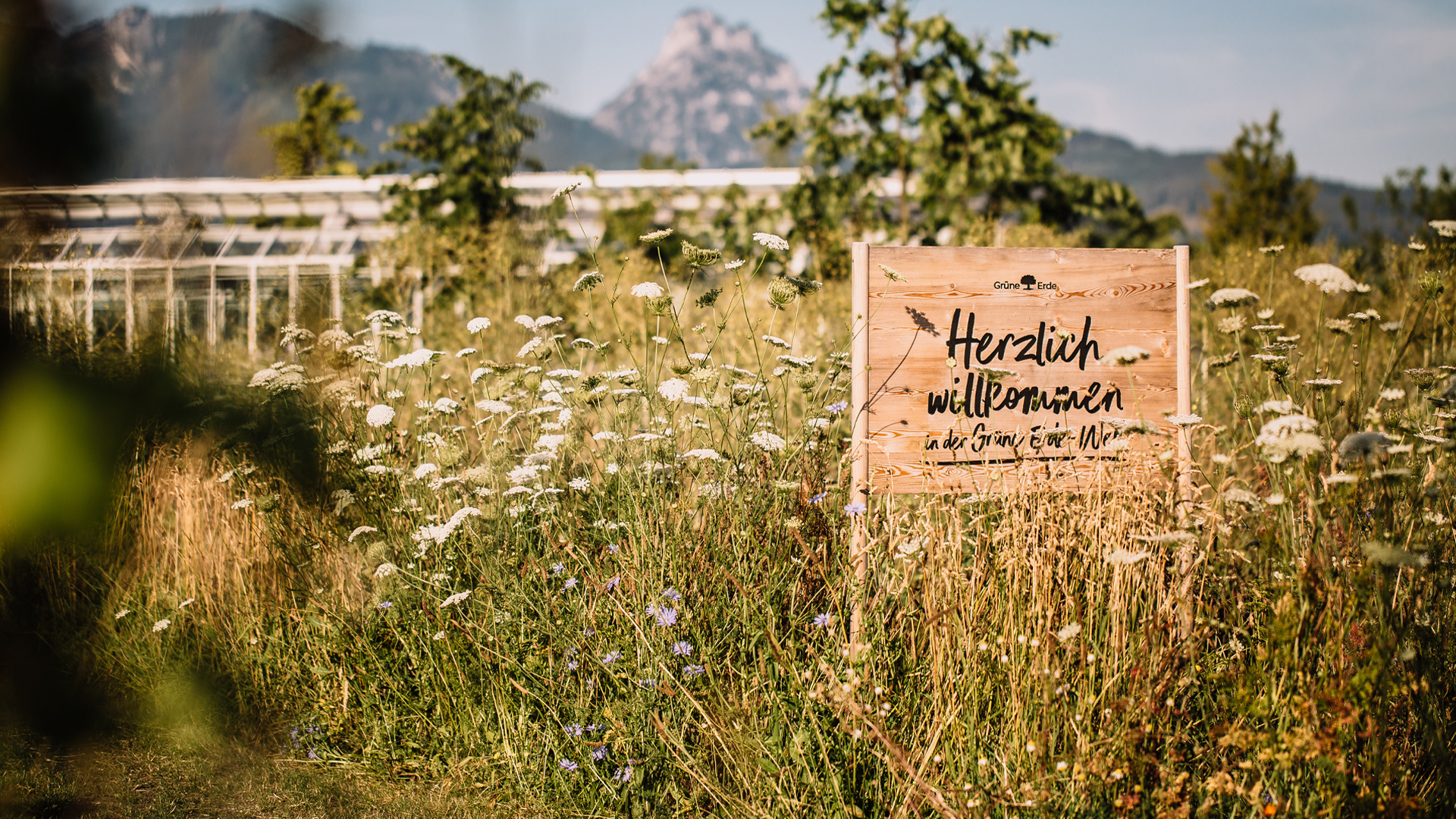 Herzlich Willkommensschild der Grüne Erde Wet im Almtal mit natürlicher Wiese