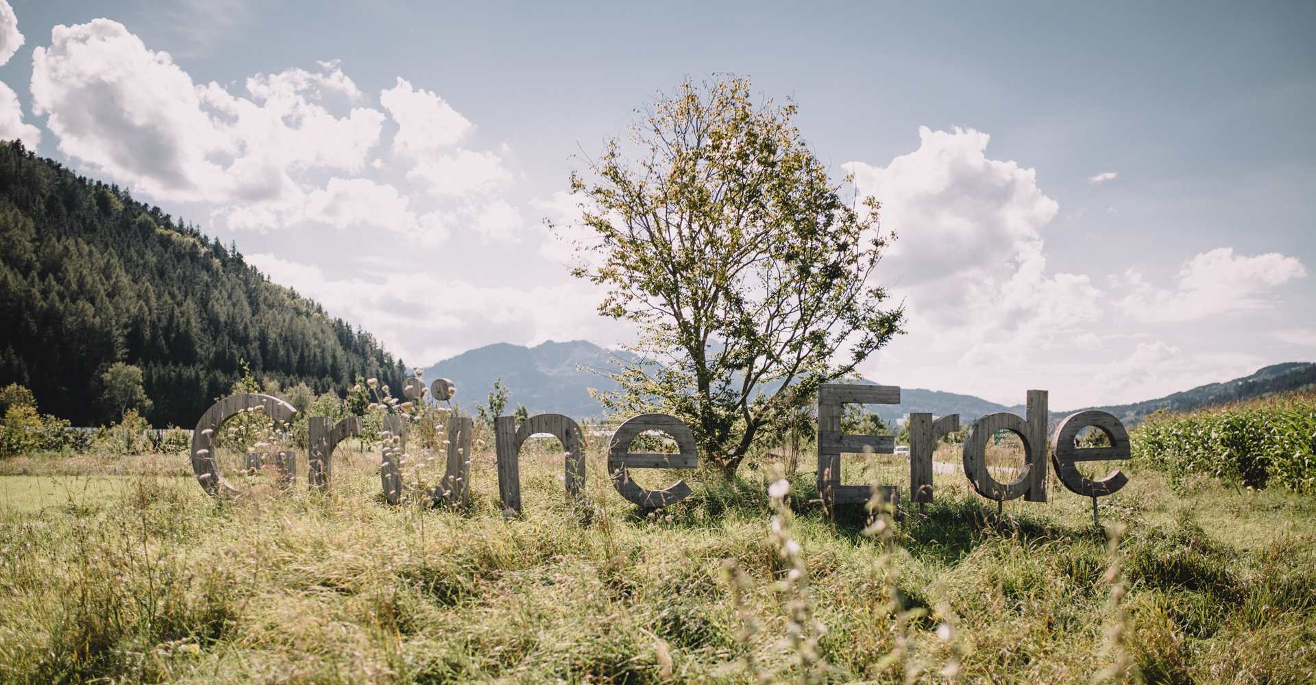 Blühende Wiese in natürlicher Landschaft