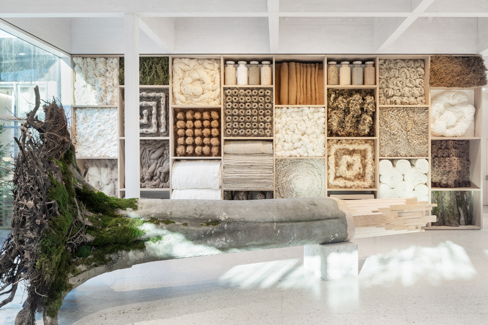 Eingangsbereich der Grüne Erde Welt mit schaumaterialien und einem dekorativen Baumstumpf