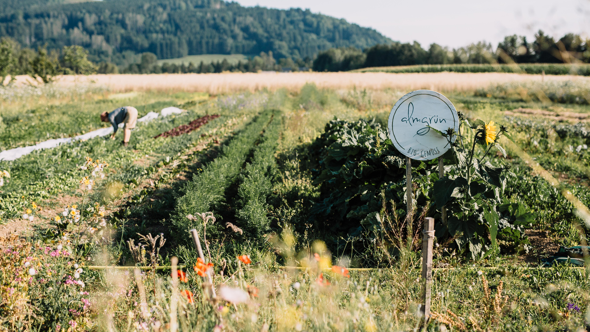 Blumen und Kräuterfeld in ländlicher Umgebung mit arbeitender Person