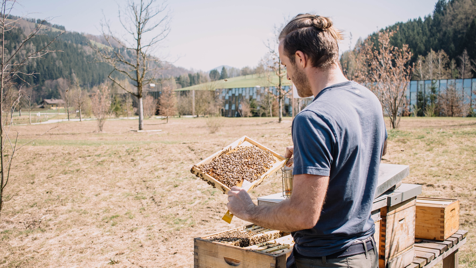 Person arbeitet an einem Bienenstock und hält eine Wabe in ländlicher Umgebung