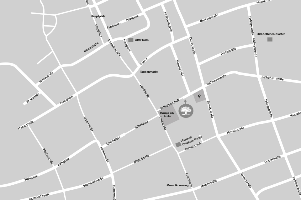 bildliche Wegbeschreibung zum Grüne Erde Store in Linz