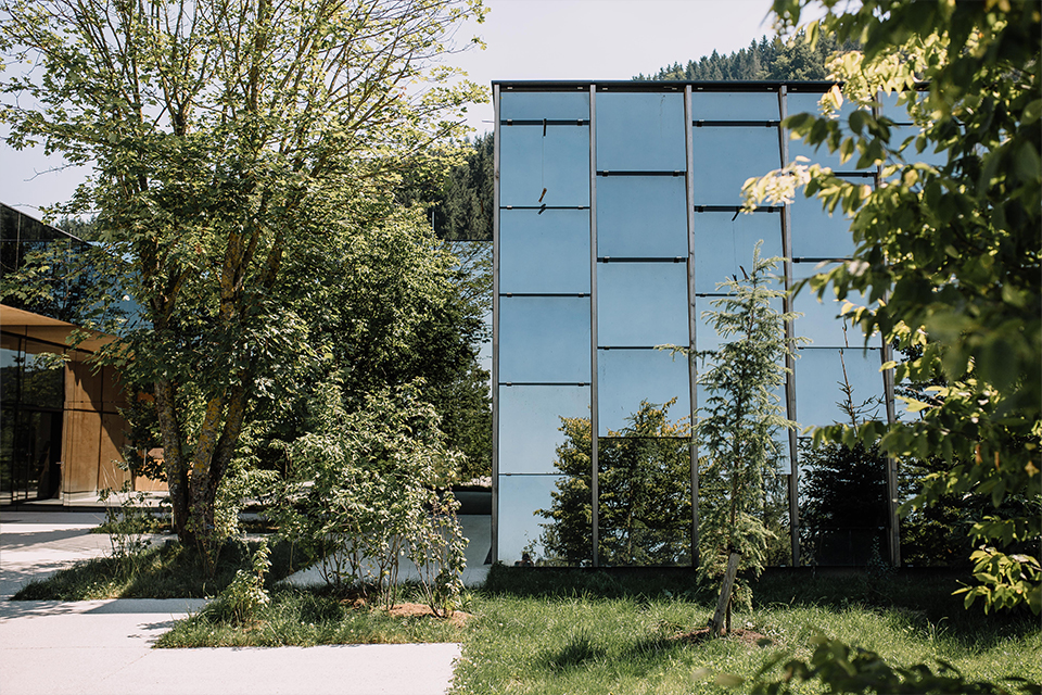 Grüne Erde-Welt Eingang