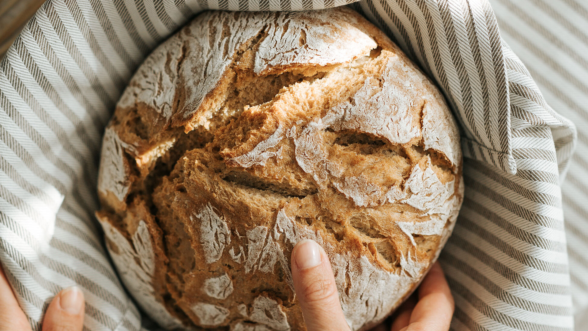 Frisch gebackenes rustikales Brot in gestreiftem Tuch gehalten