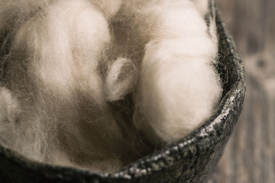 Nahaufnahme von Lammwolle in einer Schale