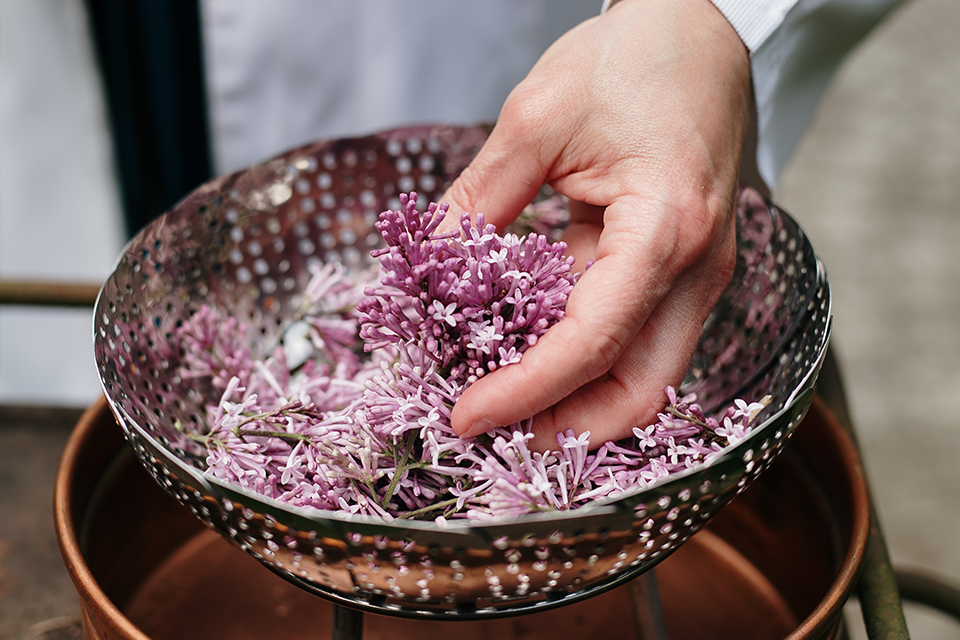 Hand greift in Schale mit Blüten