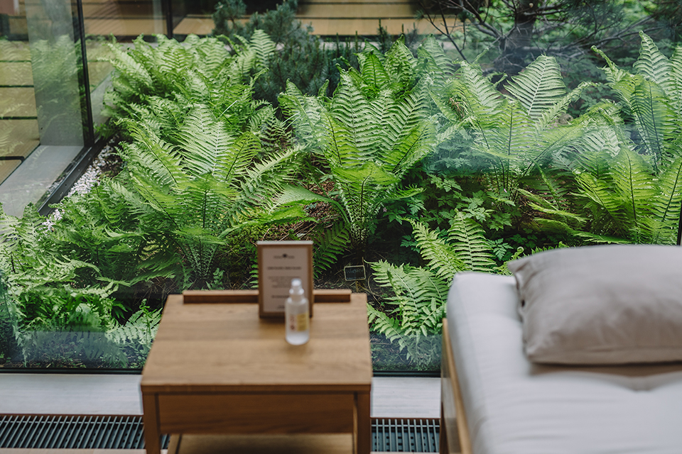 Farn und ein Ausschnitt von einem Bett