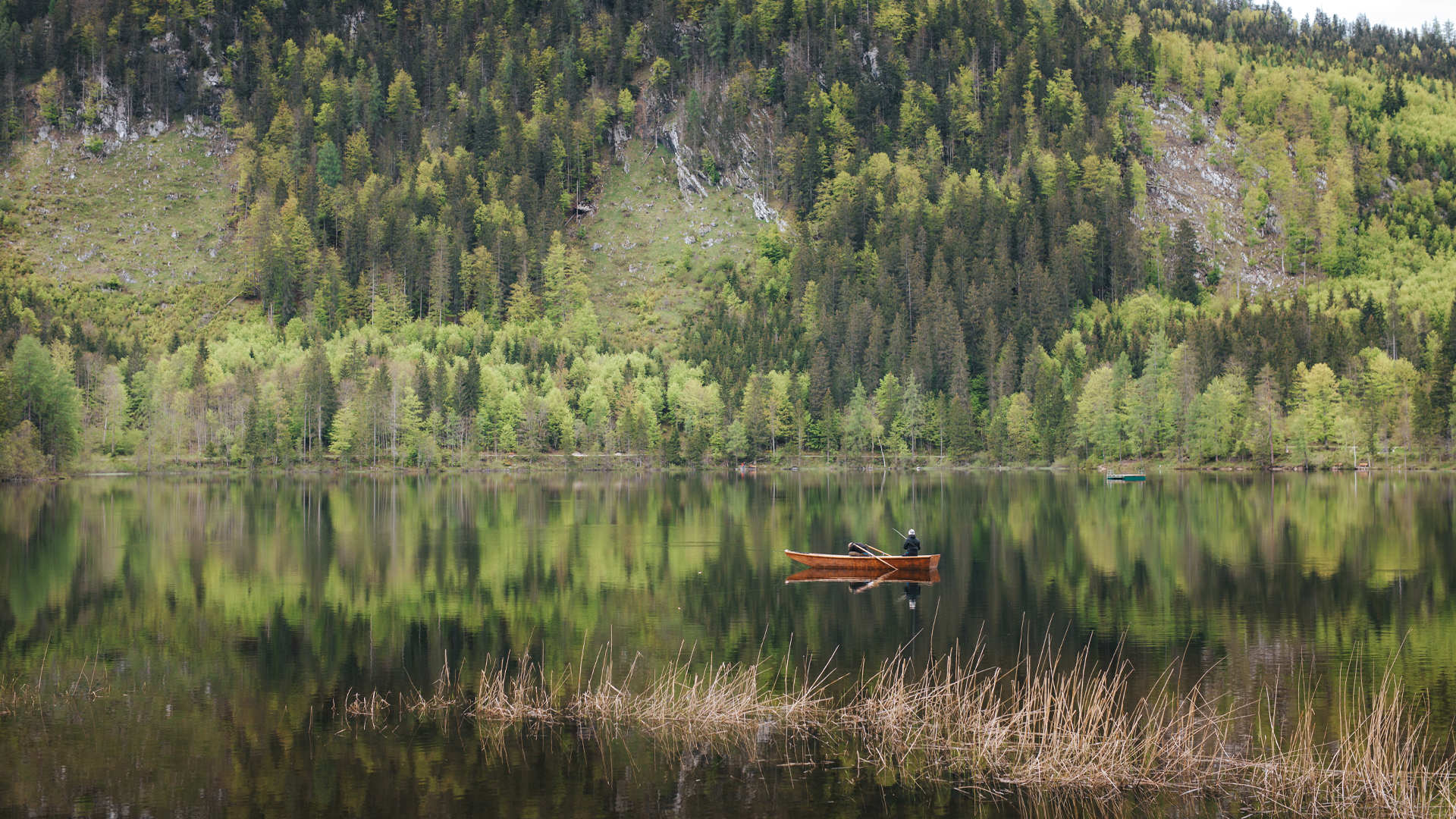 See mit Boot und Wald im Hintergrund
