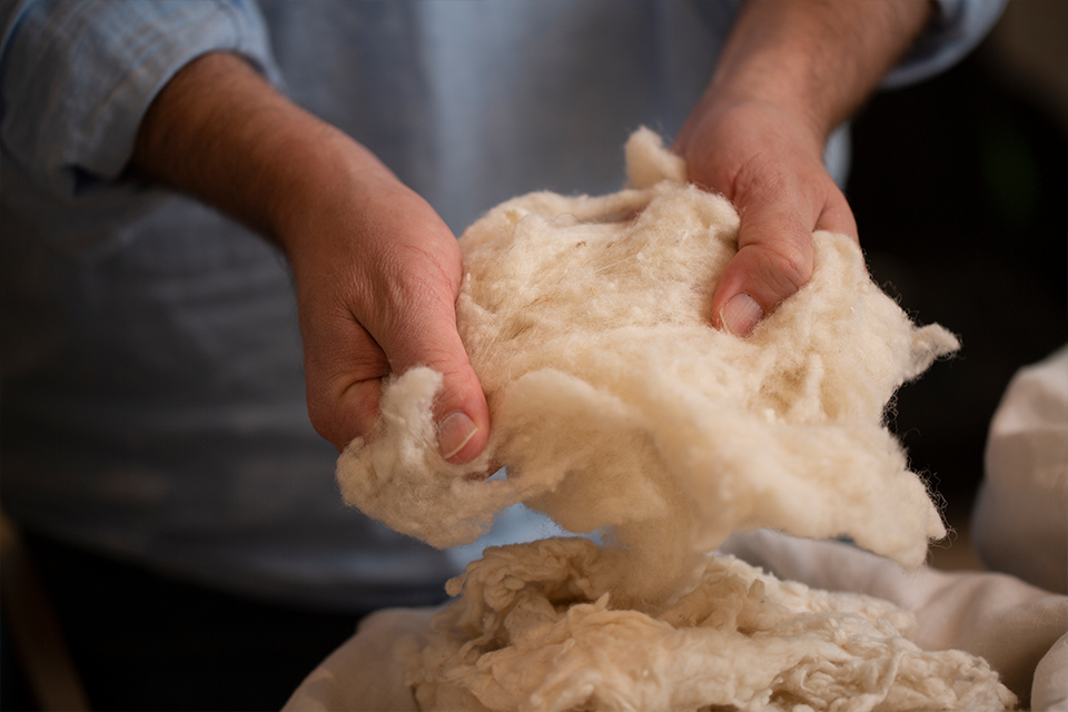 zwei Hände, die Schurwolle bearbeiten