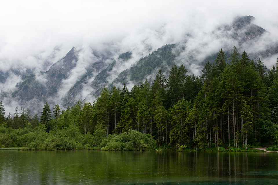 Landschaftsbild mit See, Berg  und Wald