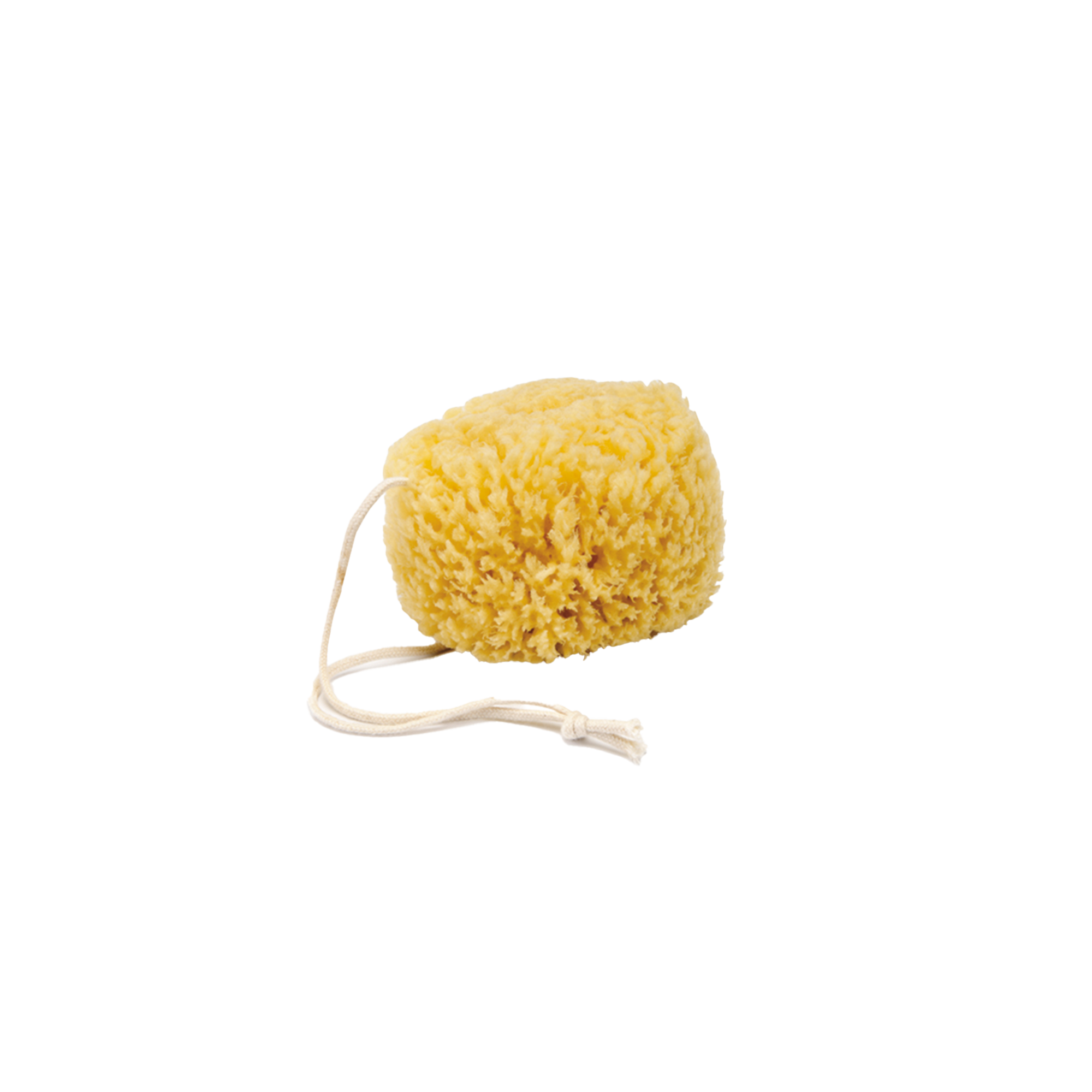 Natur Dusch & Badeschwamm