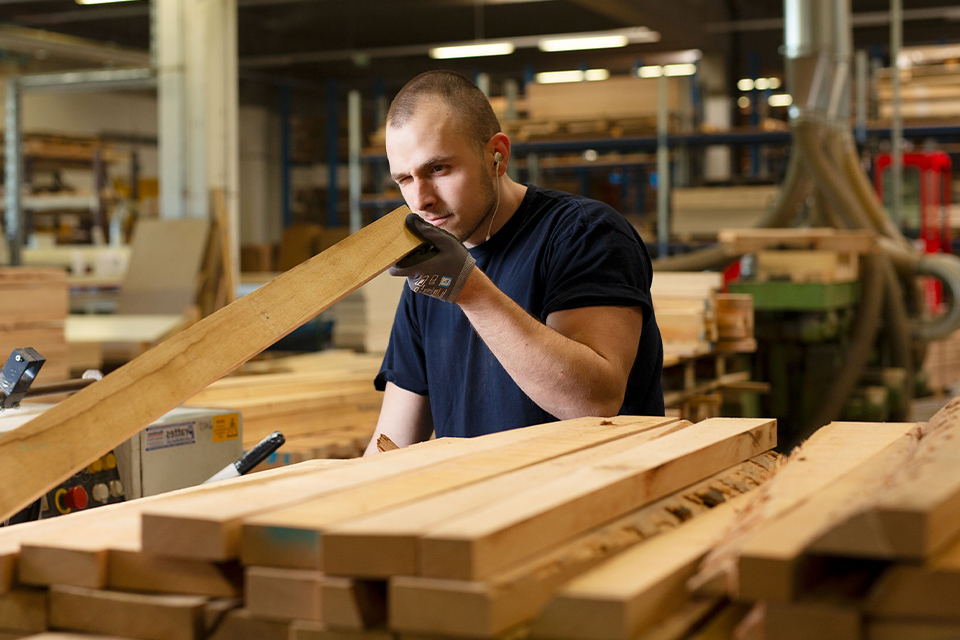 Mitarbeiter beim begutachten von Holzbrettern