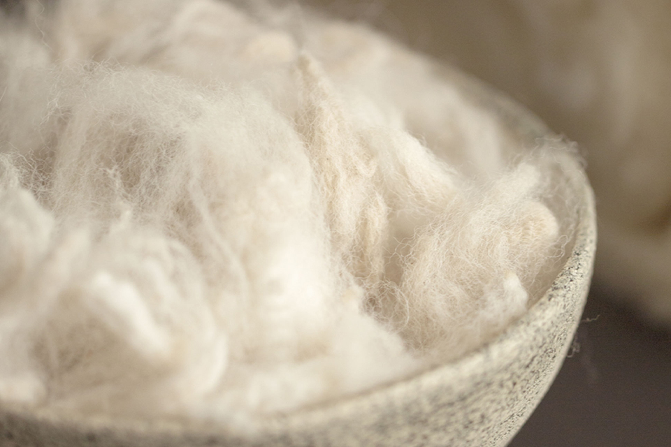 Schurwolle in einer Schale