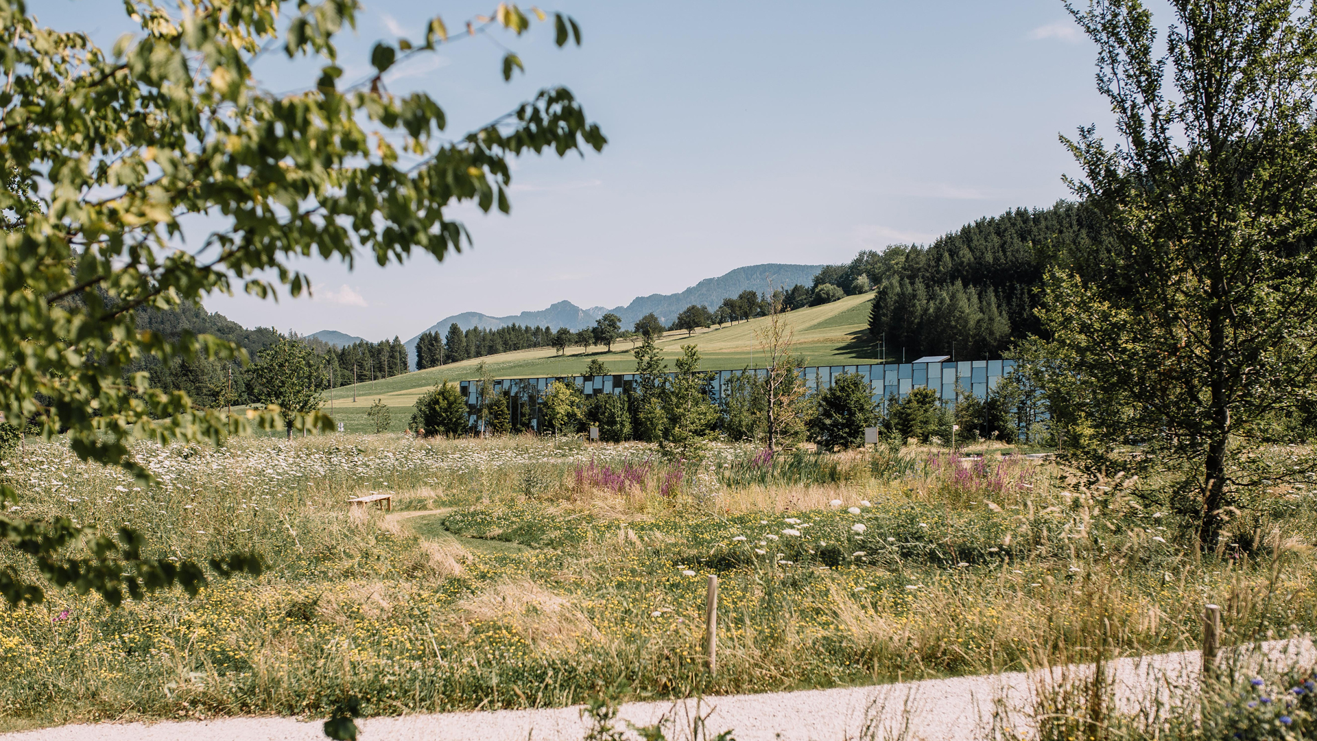 Landschaft mit Wiesen Bäumen und sanften Hügeln unter hellem Himmel