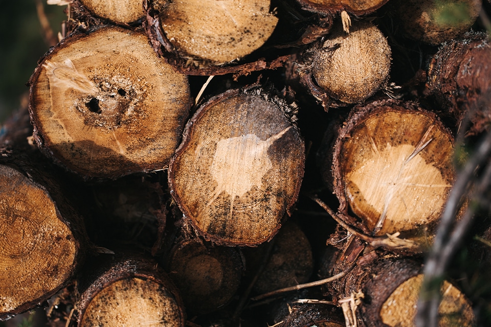 Mehrere Holzscheite dicht gestapelt mit rauer Rinde und Jahresringen