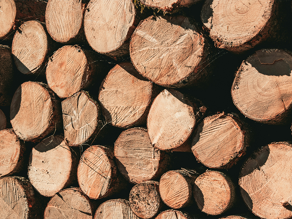 Holzstämme gestapelt