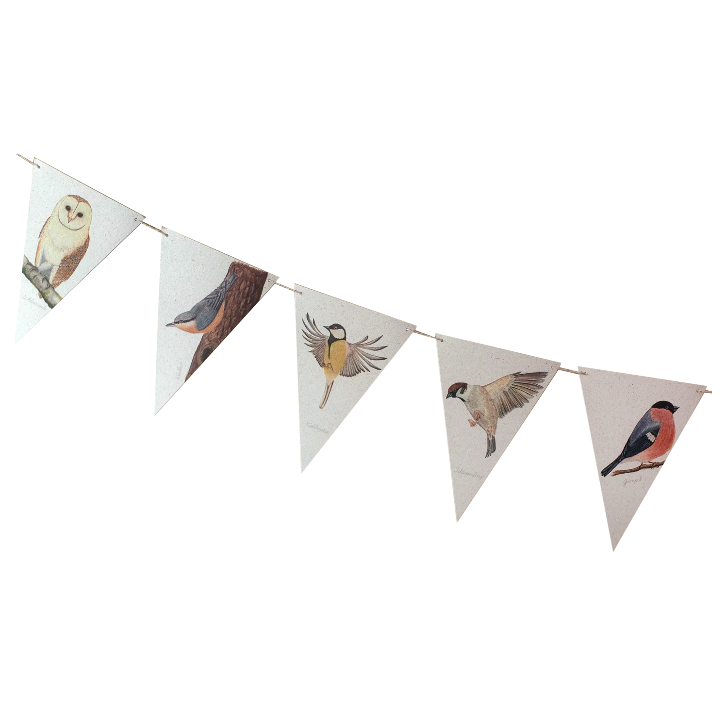 Wimpelkette - Vogelwelt