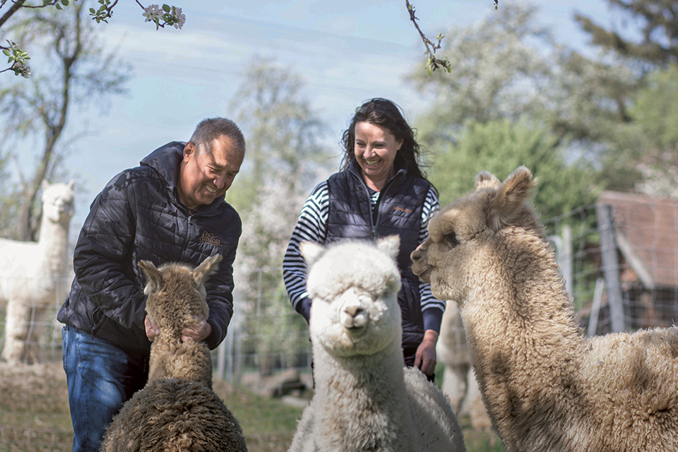 Alpakazüchter Putzinger mit Alpakas