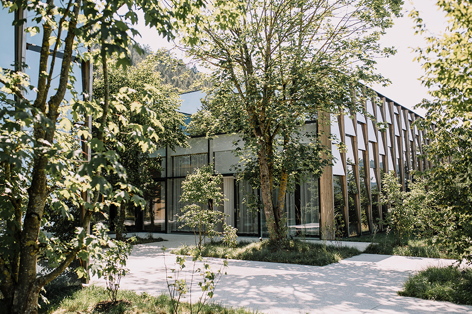 Bäume vor dem Eingang zur Grüne Erde-Welt