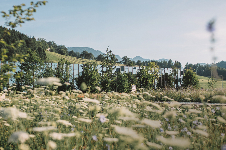 Landschaft mit Blumenwiese und Gebäuden in ruhiger, natürlicher Umgebung
