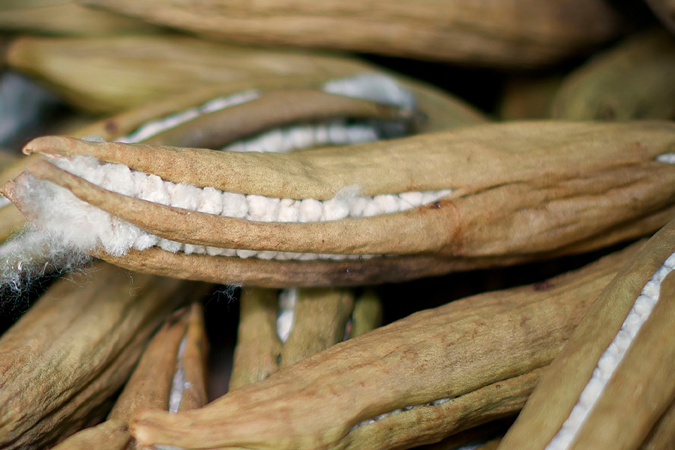 Kapok Hüllen mit Kapokfasern im Inneren