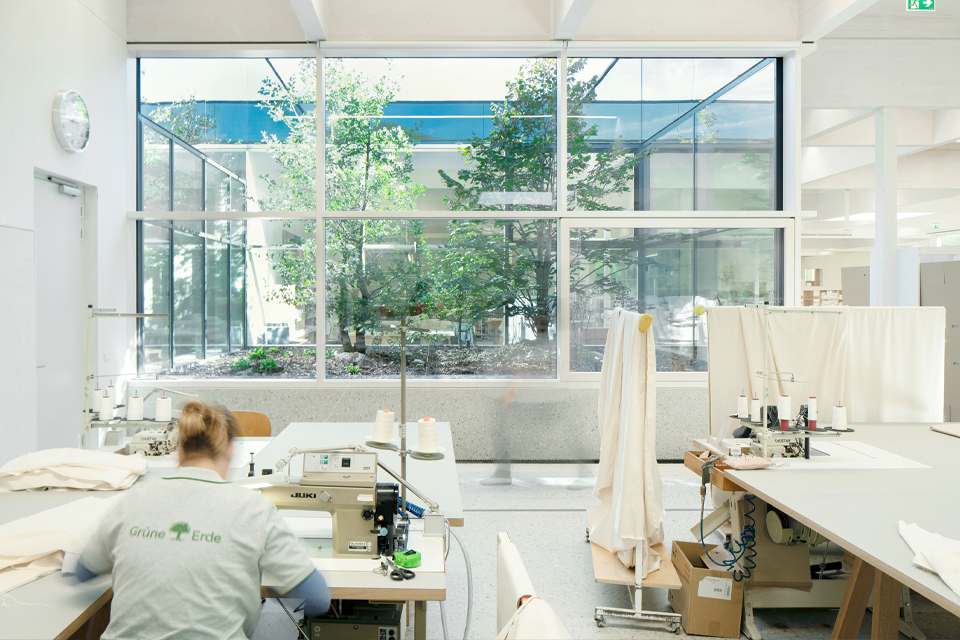 Heller Schauraum mit großen Fenstern Pflanzen und natürlichen Materialien