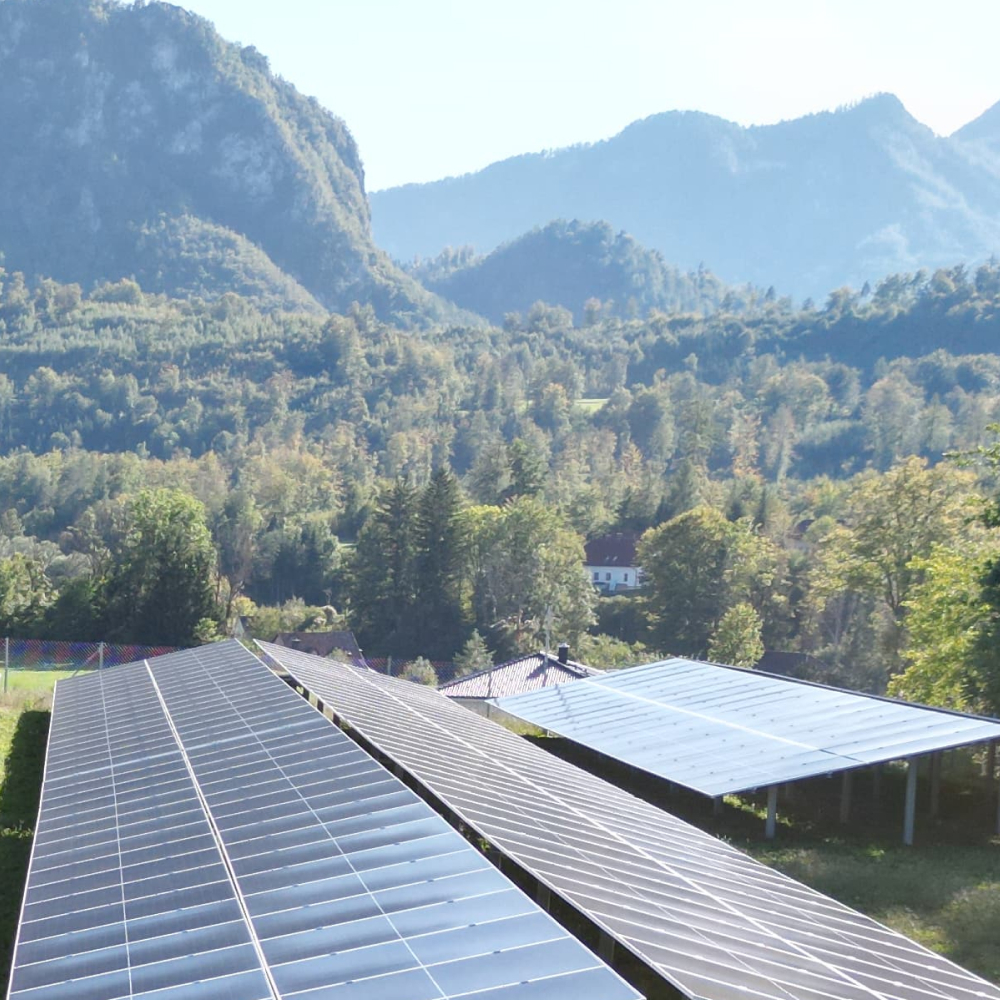 Photovoltaik auf einer Wiese